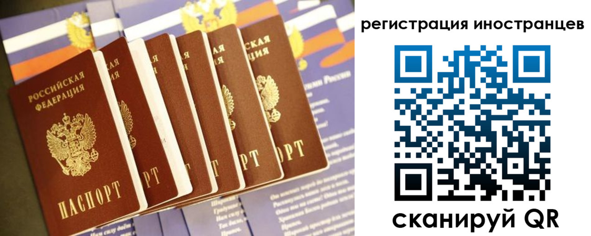 прописка в Петухово